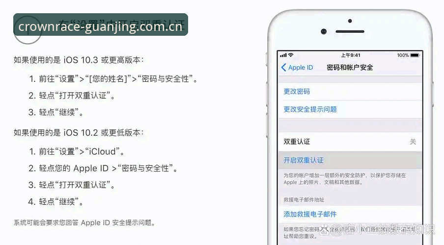 冠竞体育APP苹果版安全吗？iOS用户必备的安全检测实用指南